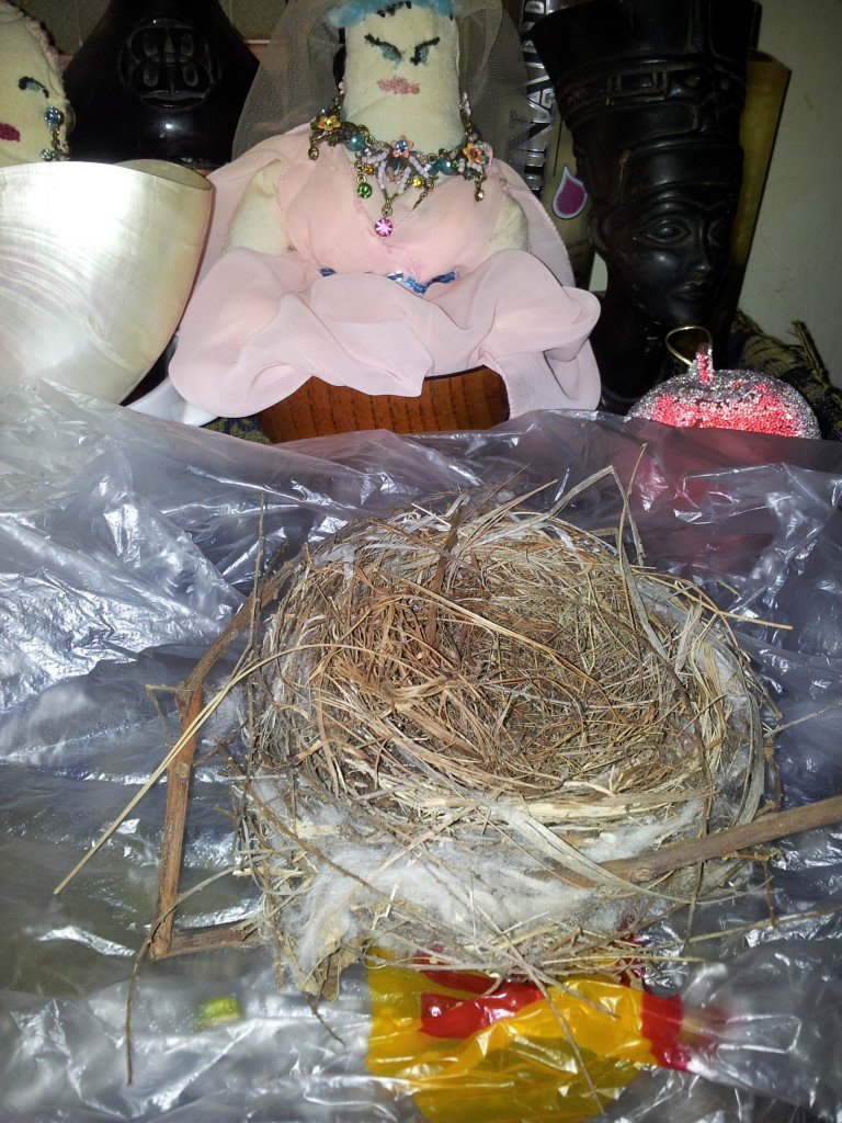 Bird's Nest Magick