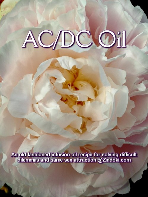 AC/DC Oil Recipe for Same Sex Attraction and Solving Dilemmas