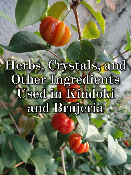 Kindoki Herbs, Stones, and Various Materials Used in Kindoki and Related ...