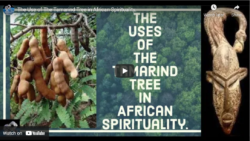 Use of the Tamarind Tree in African Spirituality